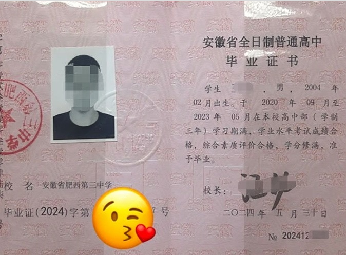安徽安徽省肥西第三中学高中毕业证样本